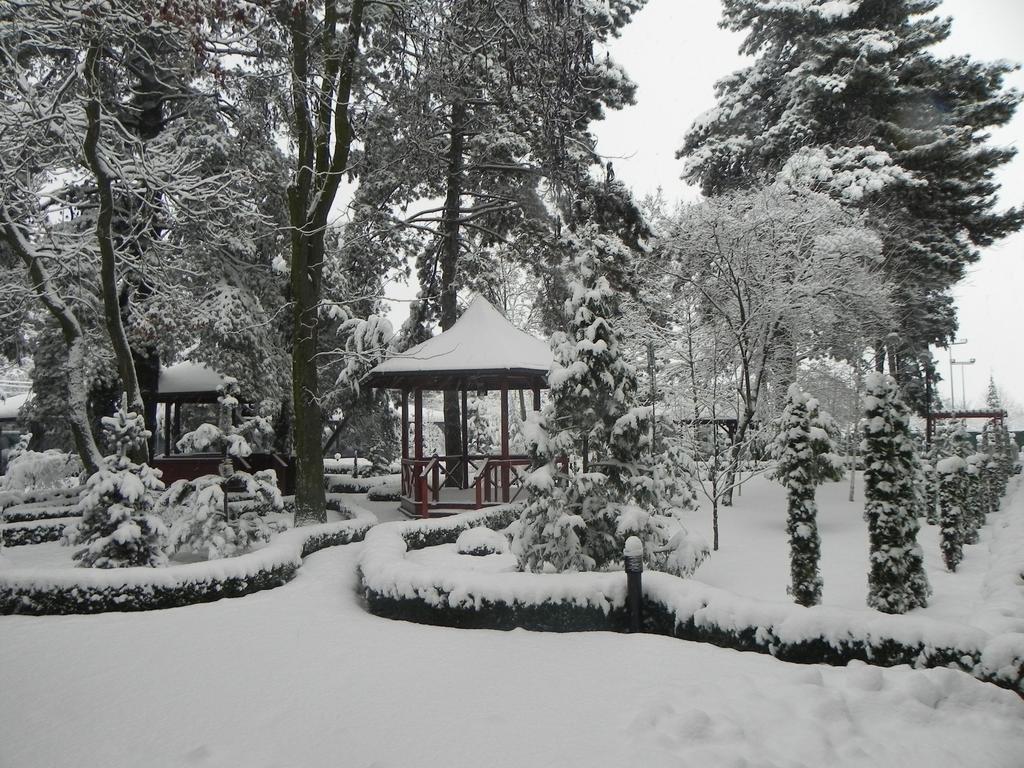 Hotel Baneasa Parc Βουκουρέστι Εξωτερικό φωτογραφία