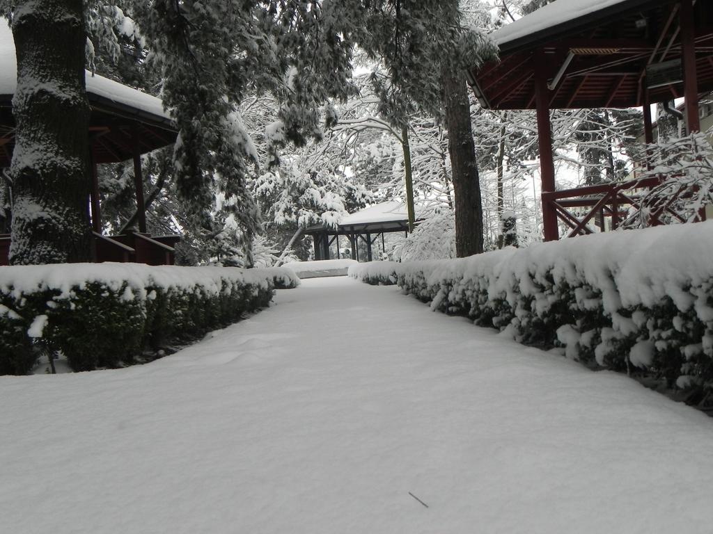Hotel Baneasa Parc Βουκουρέστι Εξωτερικό φωτογραφία